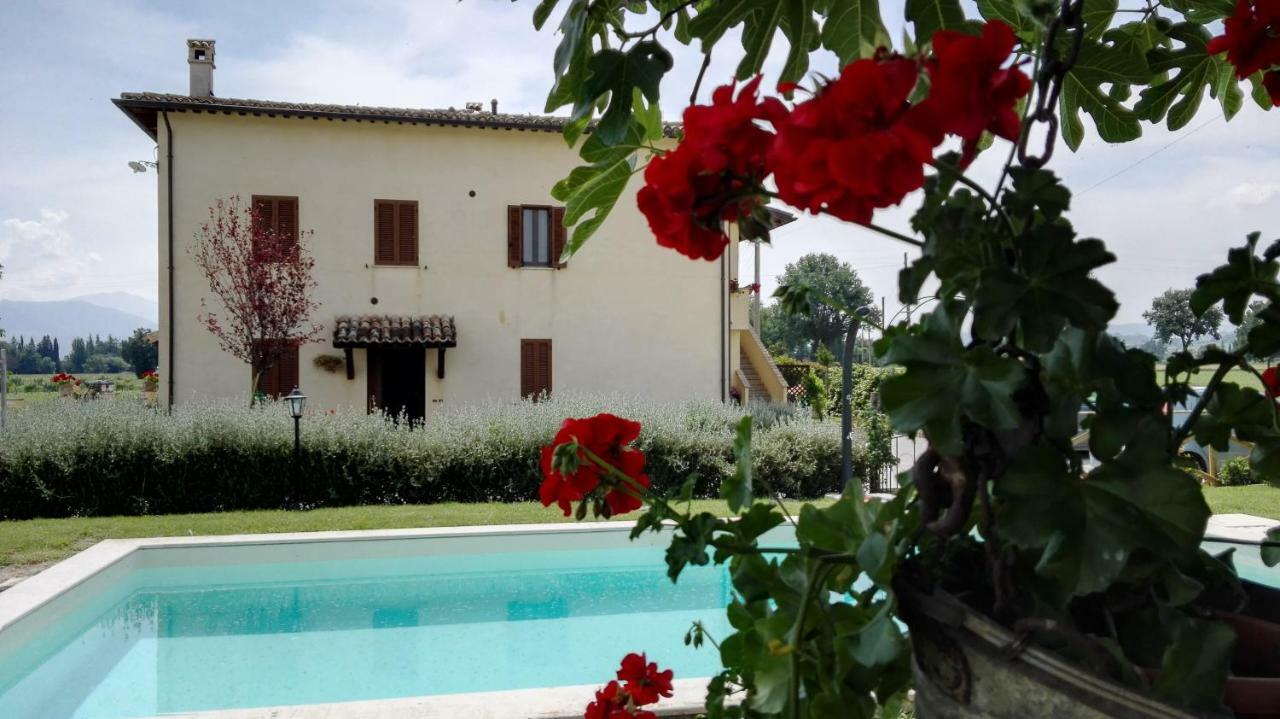 Casa Cardarella Guest House Beroide Exterior photo